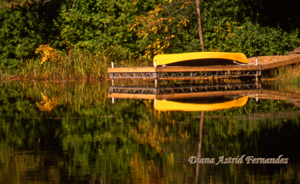 Docked-yellow-Canoe-and-reflection